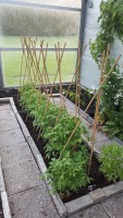 /album/tuin-2016/a20160519-203712-jpg/