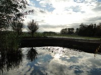/album/tuin-2016/dsc09768-jpg/
