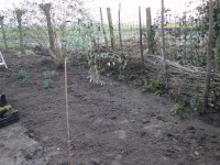 /album/tuin-2016/dsc09877-jpg/
