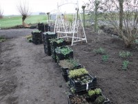 /album/tuin-2016/dsc09878-jpg/