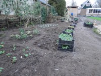 /album/tuin-2016/dsc09891-jpg/