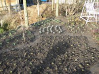 /album/tuin-2016/dsc09905-jpg/