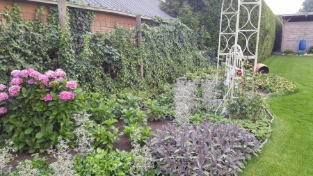 De siertuin in juli